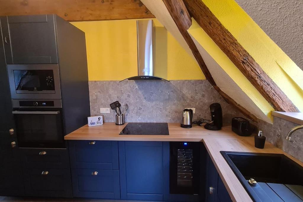 Apartament Duplex Centre - Le Marche Obernai Zewnętrze zdjęcie
