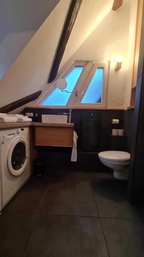 Apartament Duplex Centre - Le Marche Obernai Zewnętrze zdjęcie